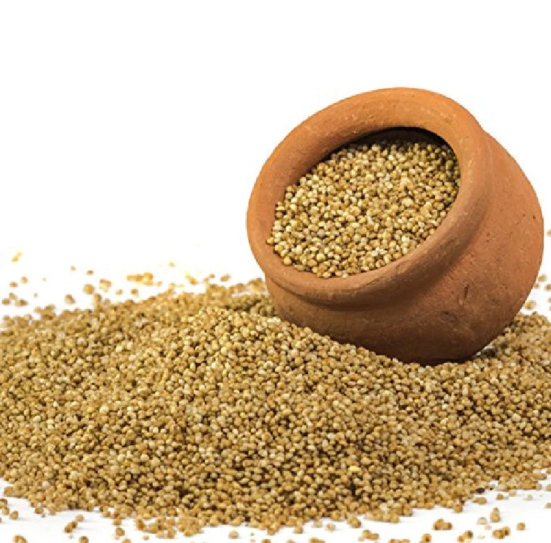 Kodo Millet
