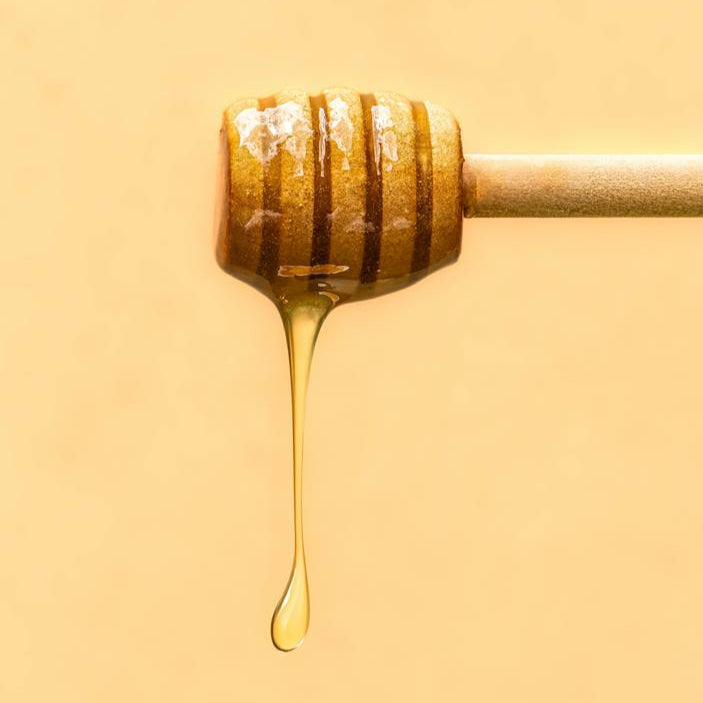 Jungle Honey