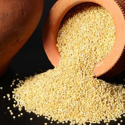 Foxtail(Kangni) Millet